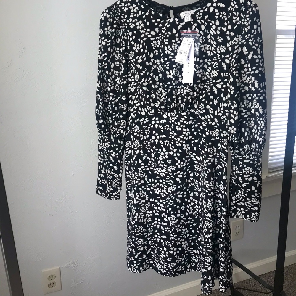 TopShop Dress